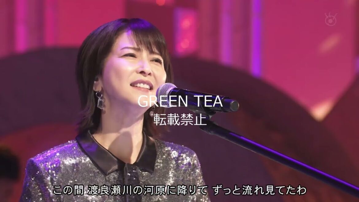 森高千里　渡良瀬橋